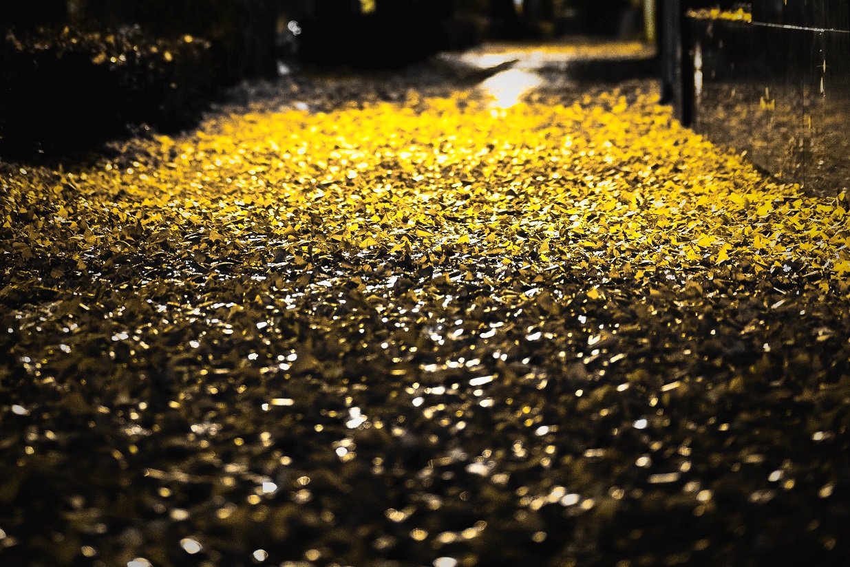 MYU03888-Exposure - Copy.jpg