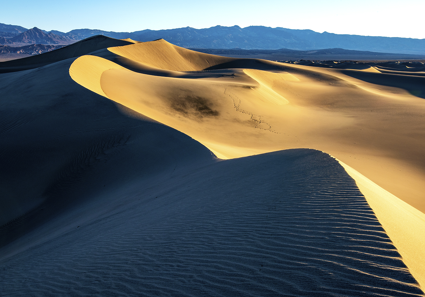 DSC_0898 PS Crop 1400px.jpg