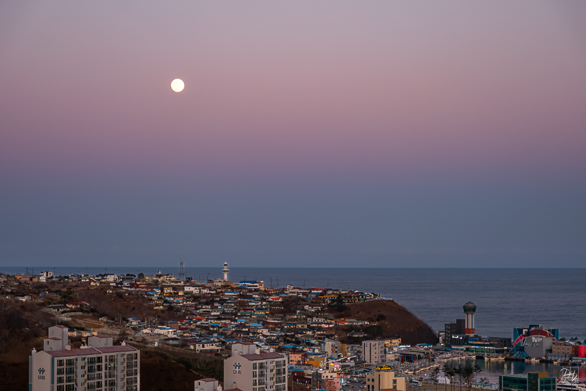 DSCF5016-향상됨-노이즈 감소-편집.jpg