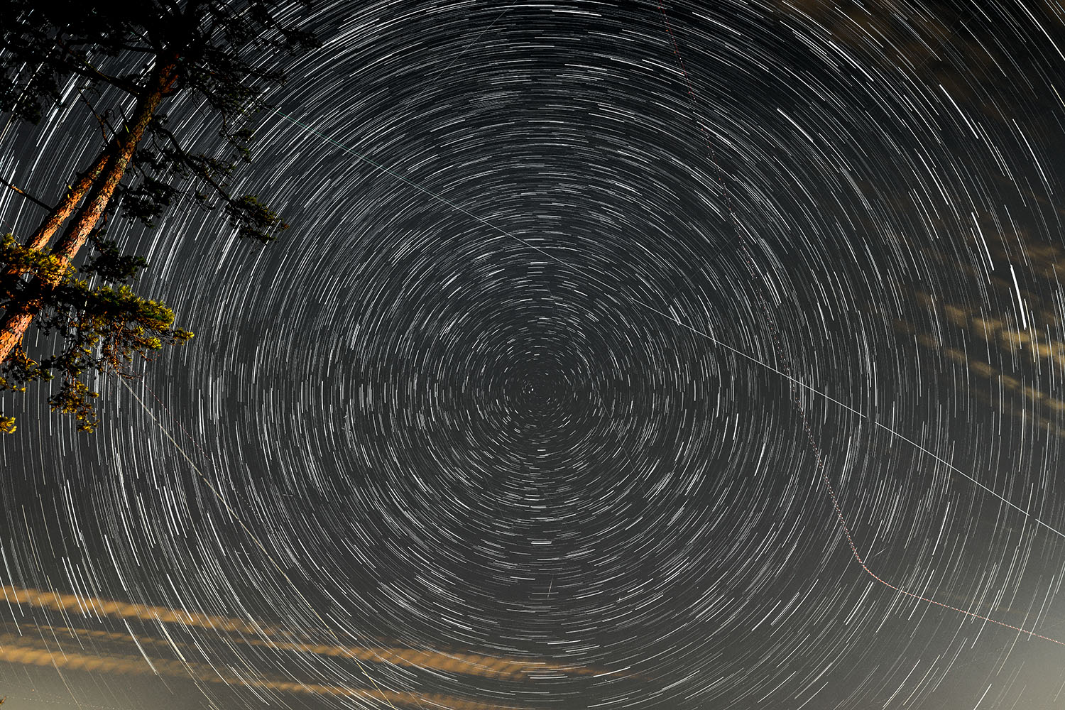 lakelanier startrail 2.jpg
