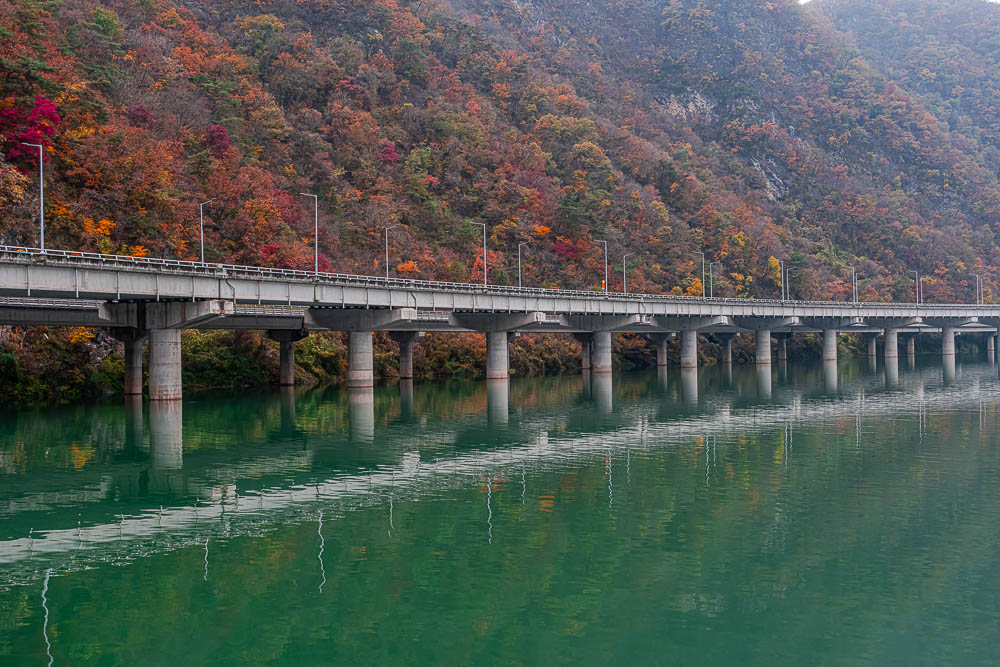 DSCF1990-향상됨-노이즈 감소-편집.jpg