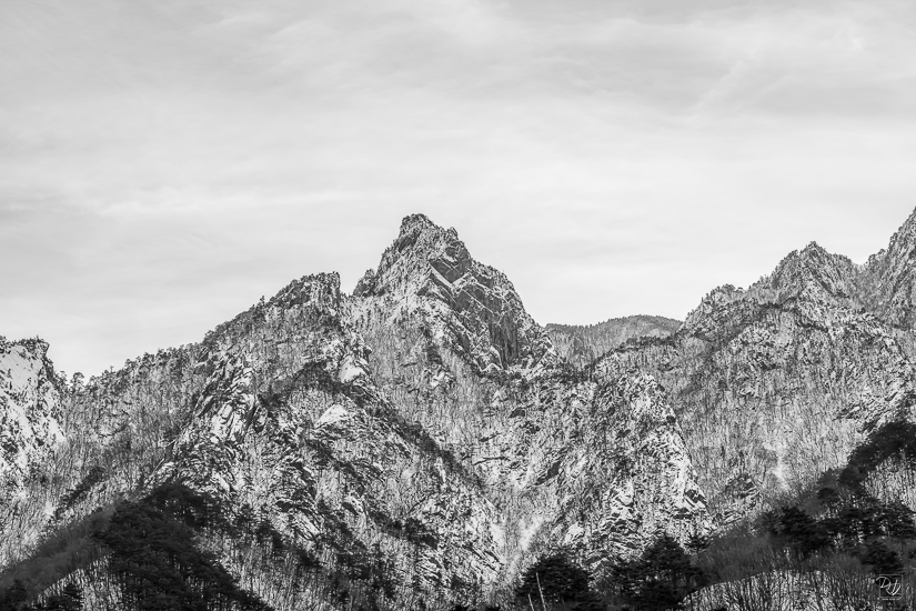 DSCF4542-향상됨-노이즈 감소-편집-편집.jpg