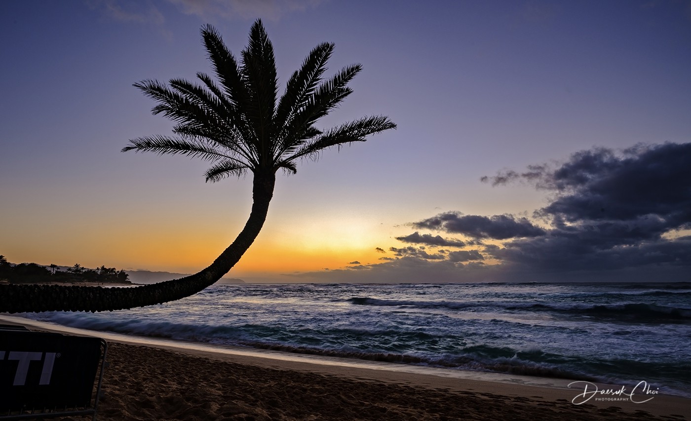 _DSC1150 PS  1400px Bio.jpg