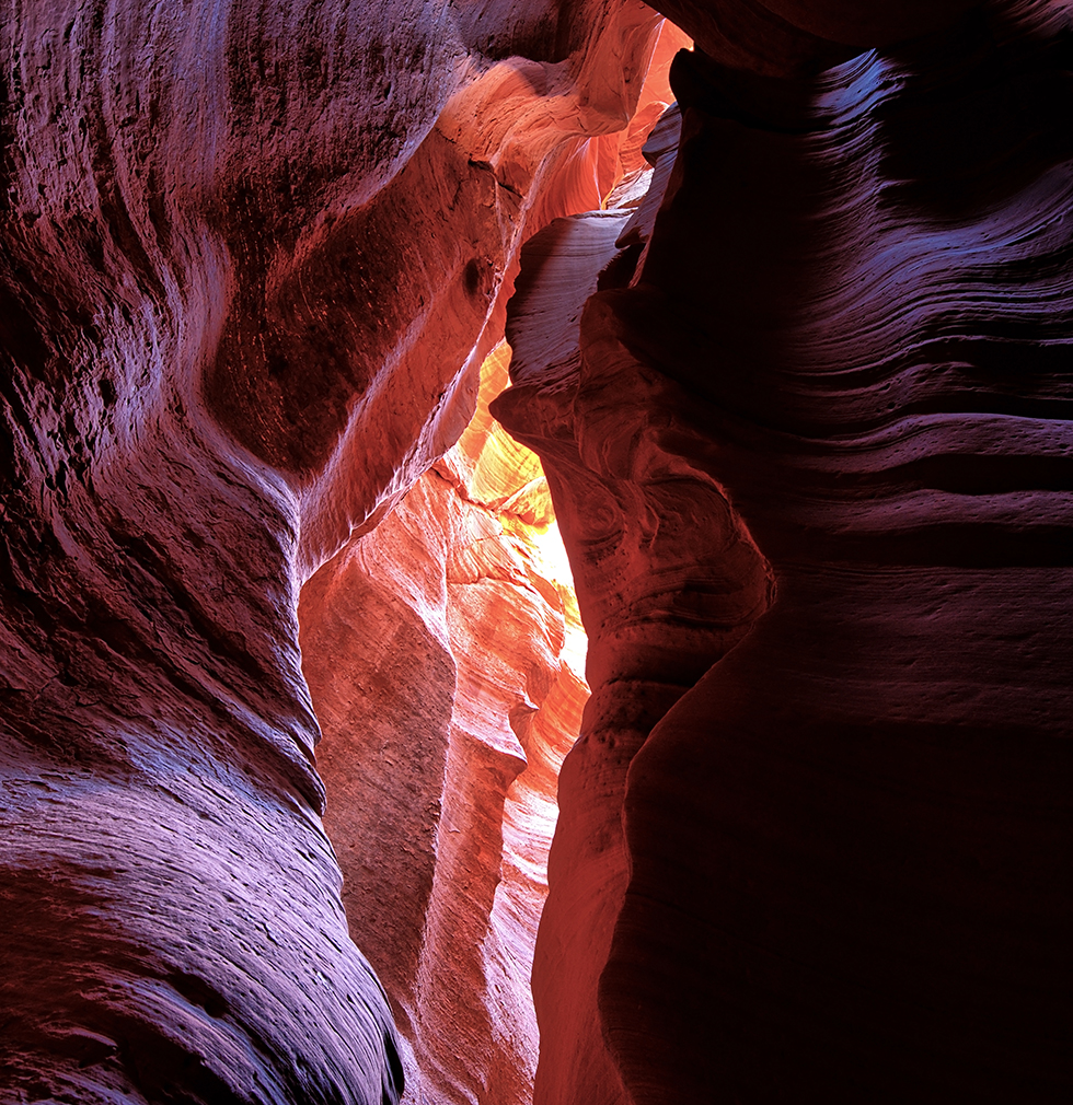 DSC_9193 PS1 Crop 980px.jpg