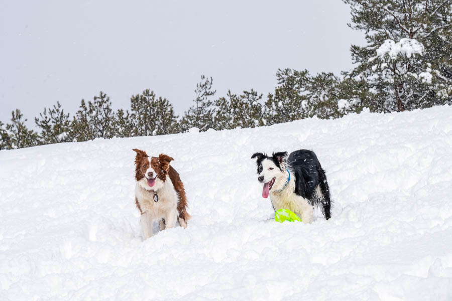 _DSC0430-향상됨-노이즈 감소-편집.jpg