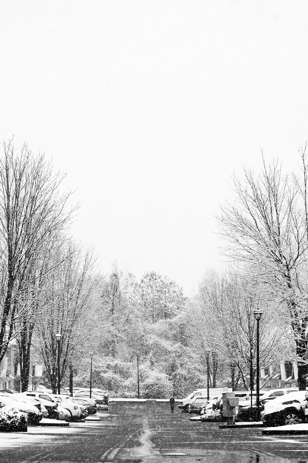 MYU08511-Exposure - Copy.jpg