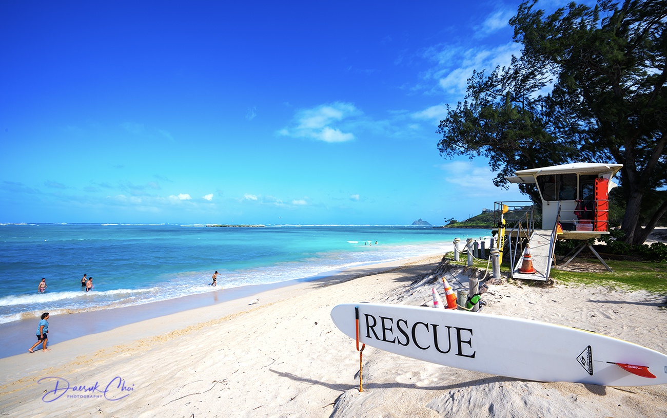 _DSC0126 View PS Crop 1300px Bio.jpg