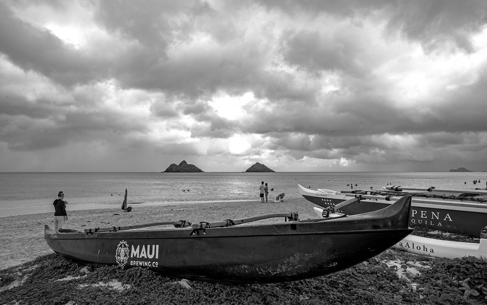 _DSC0107 PS Crop1 BW 1600px.jpg