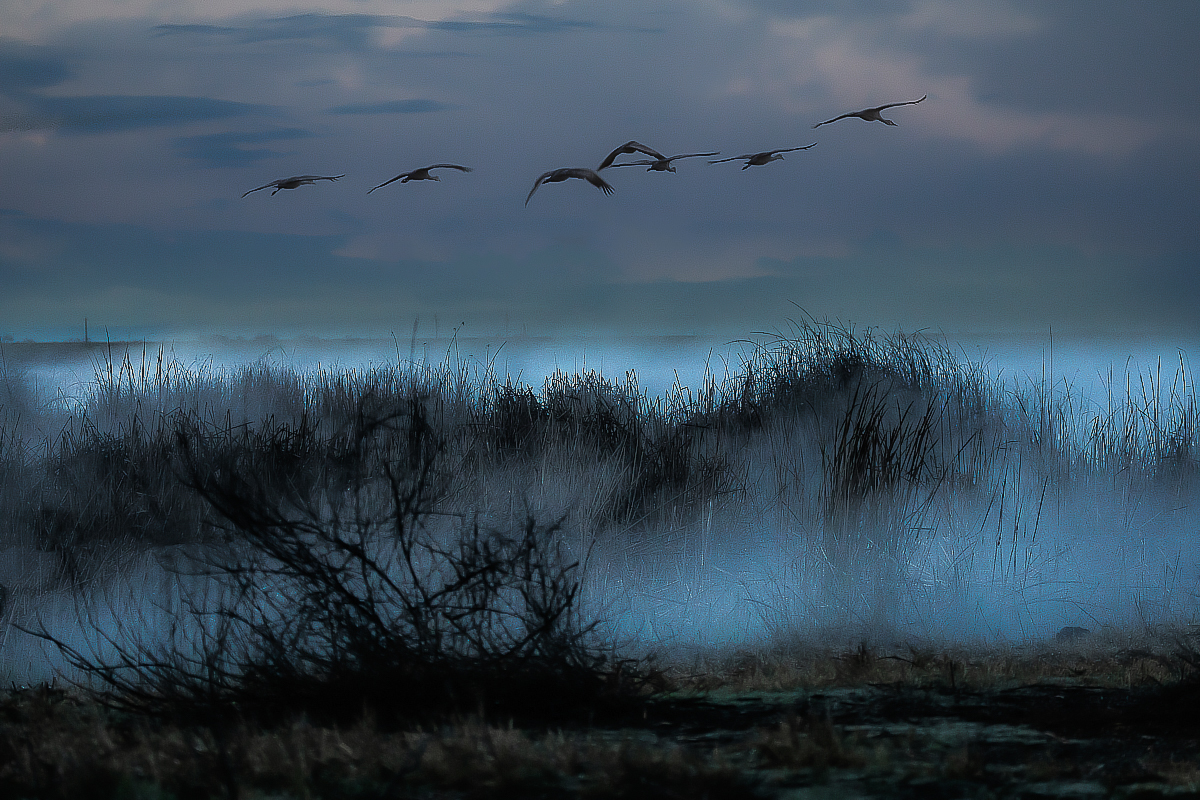 _MG_0666-편집 copy.jpg