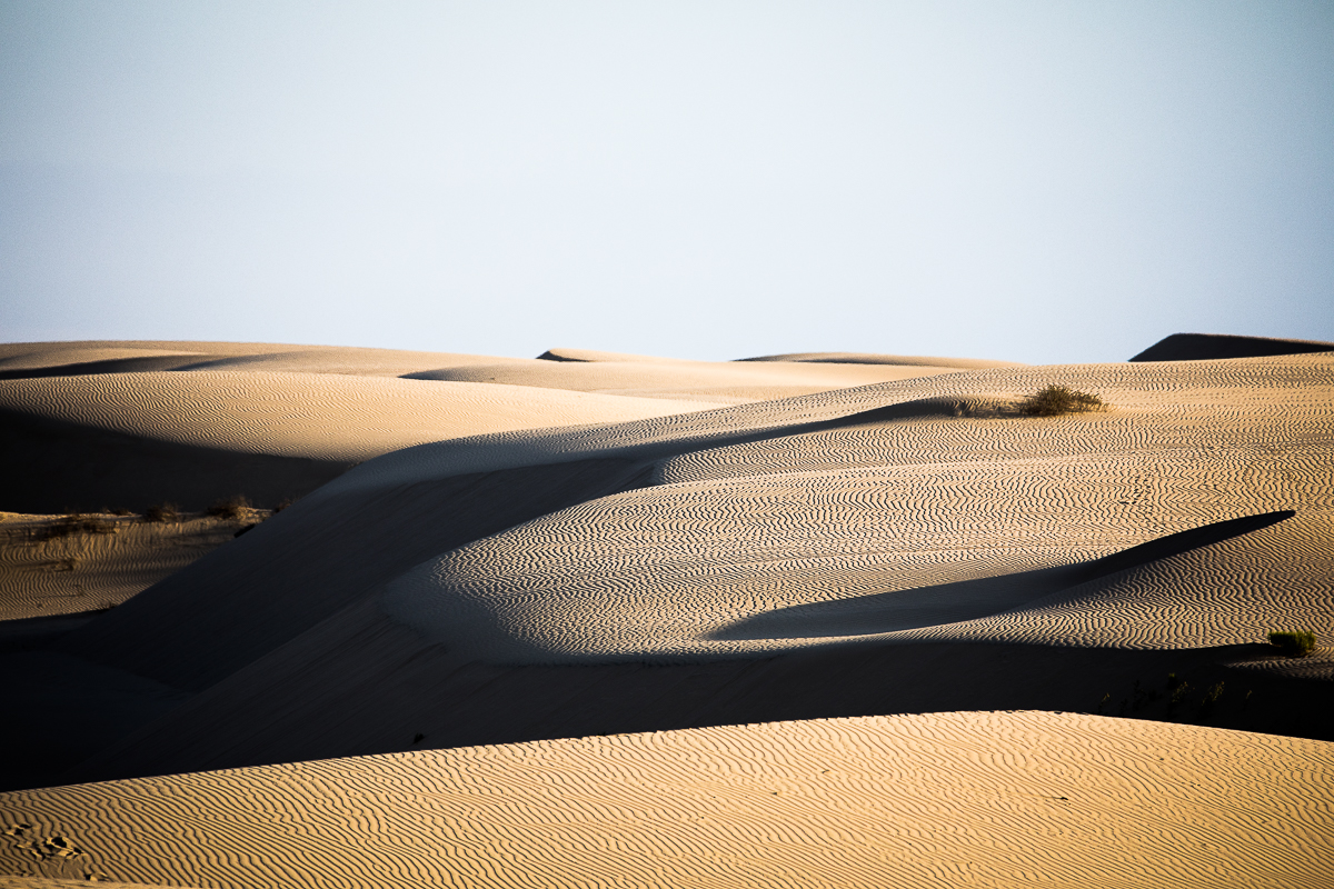 EOS 5D Mark IV_1861.jpg