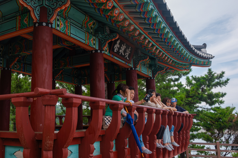 DSCF1004-향상됨-노이즈 감소-편집-2.jpg