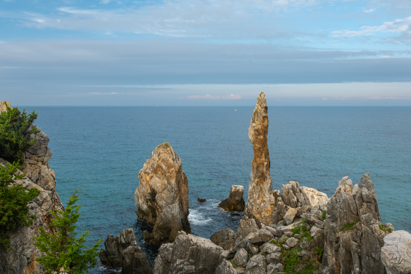 DSCF0990-향상됨-노이즈 감소-편집.jpg