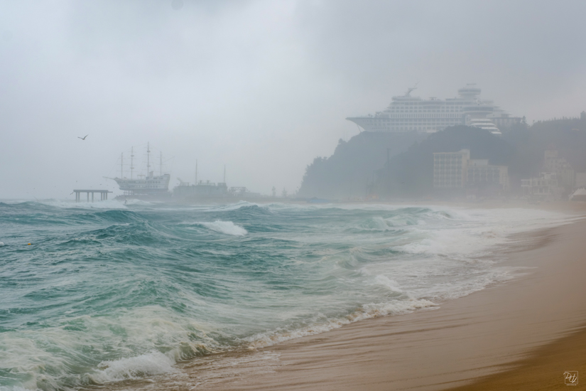 DSCF0027-향상됨-노이즈 감소.jpg