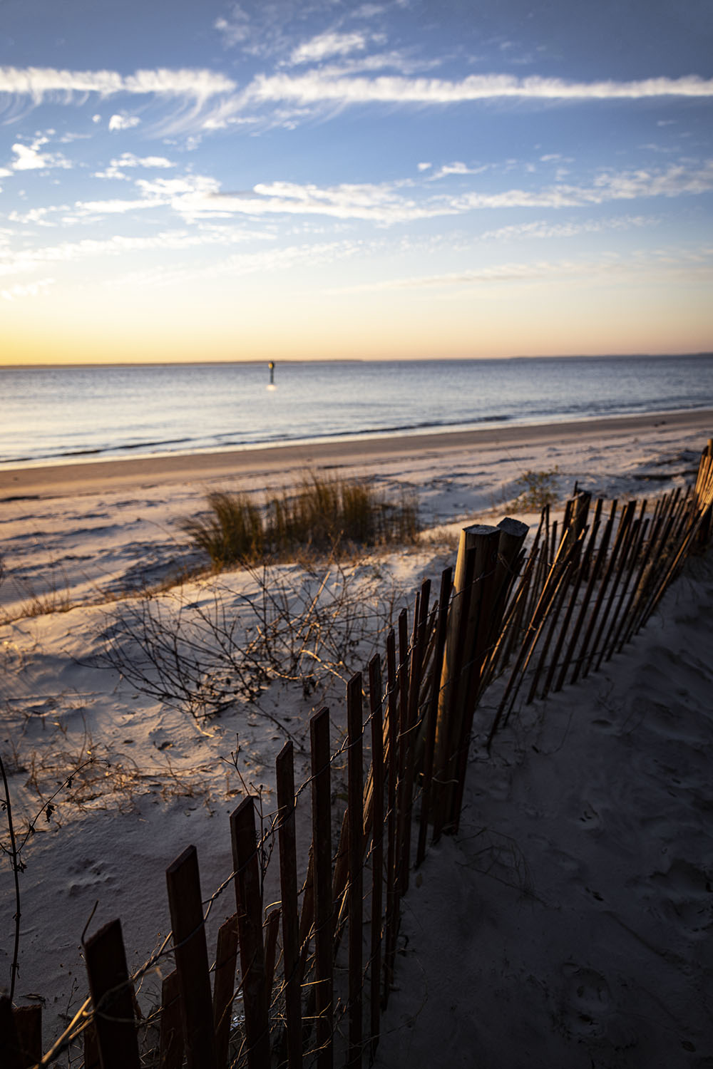 _S2A1561-Edit copy.jpg