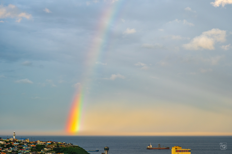 DSCF7894-향상됨-노이즈 감소-편집.jpg