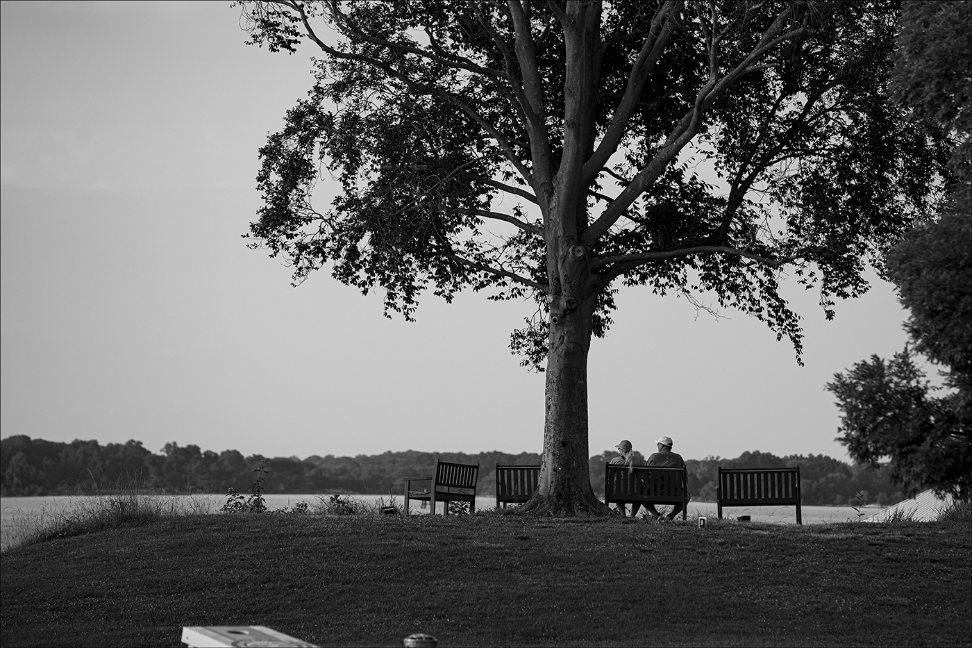 DSC00001bw-3 copy.jpg