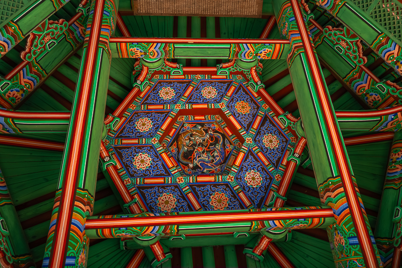 L1026599-향상됨-노이즈 감소-편집.jpg