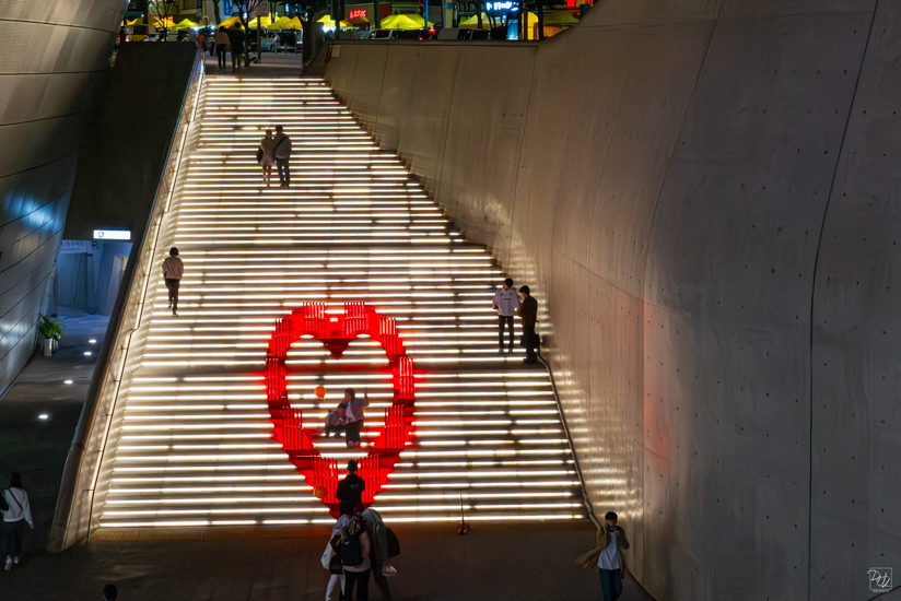 L1024705-향상됨-노이즈 감소-편집.jpg