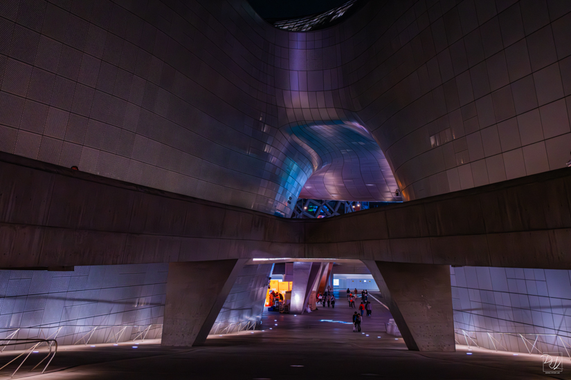 DSCF1627-향상됨-노이즈 감소-편집.jpg