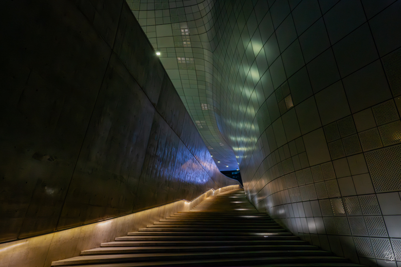 L1024762-향상됨-노이즈 감소-편집.jpg