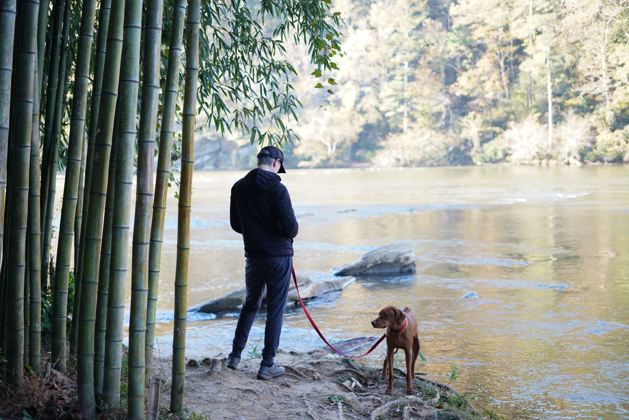 BF_남자와 강아지7-2.jpg