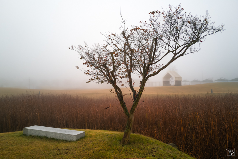 L1025106-향상됨-노이즈 감소-편집.jpg