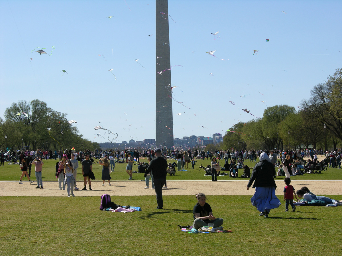 DSCN8234a - Copyx.jpg