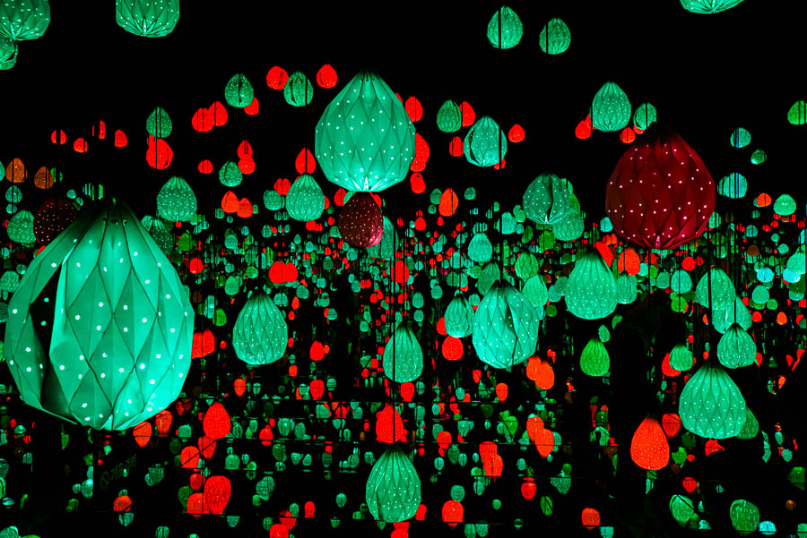 L1029555-향상됨-노이즈 감소-편집.jpg