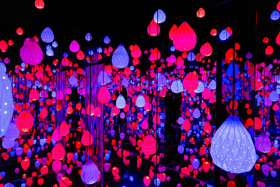 L1029508-향상됨-노이즈 감소-편집.jpg