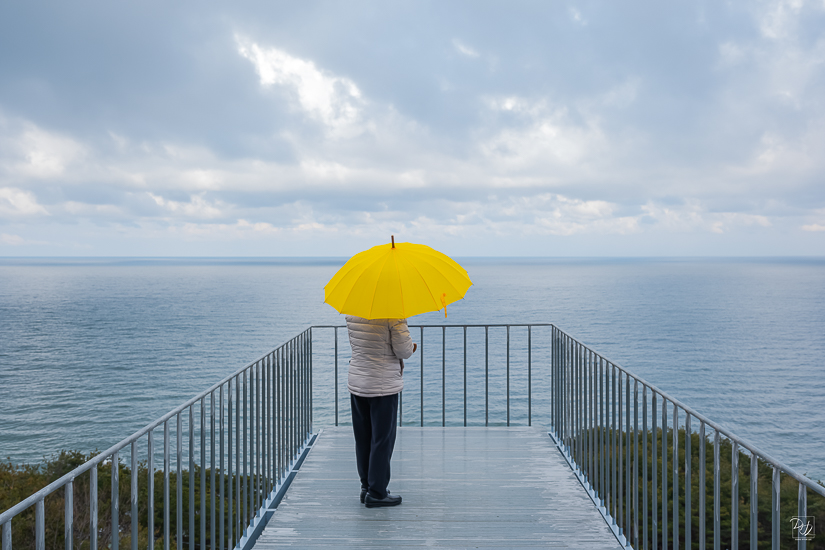 DSCF5537-향상됨-노이즈 감소-편집.jpg