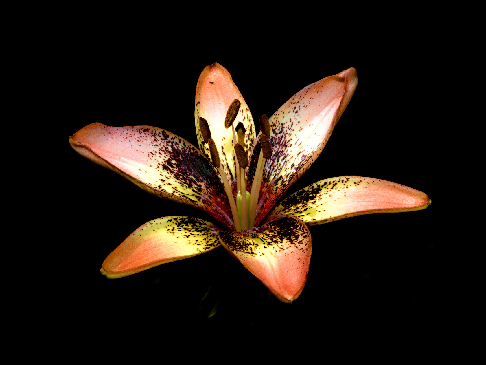 출사 2.jpg