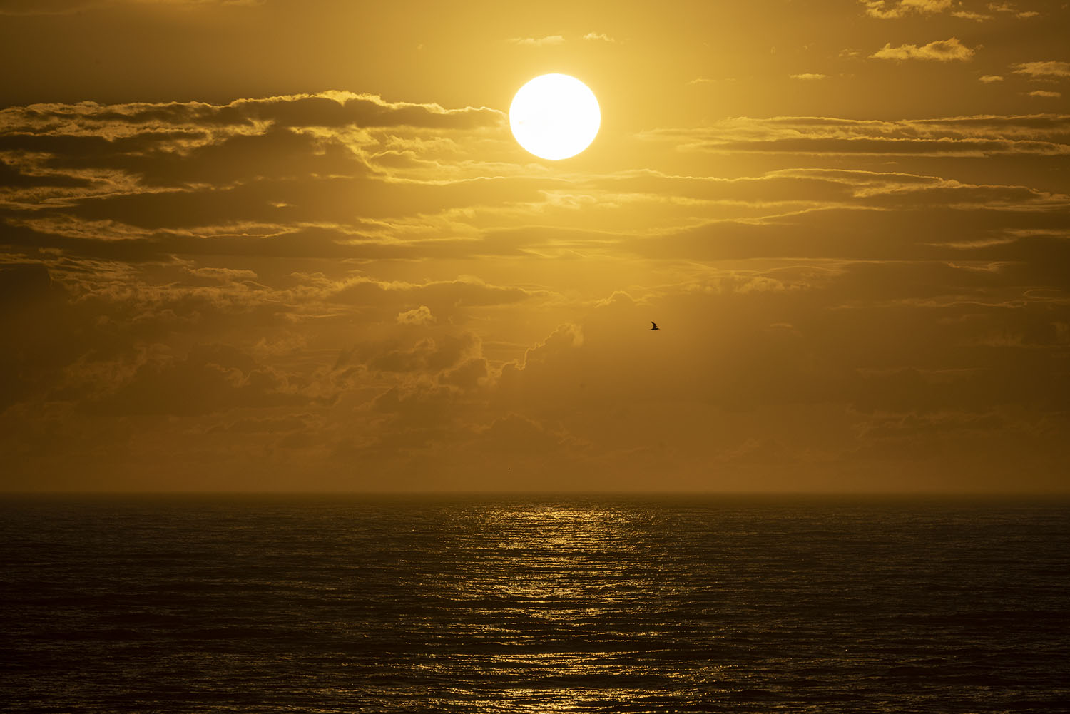 _S2A1613-Edit copy.jpg