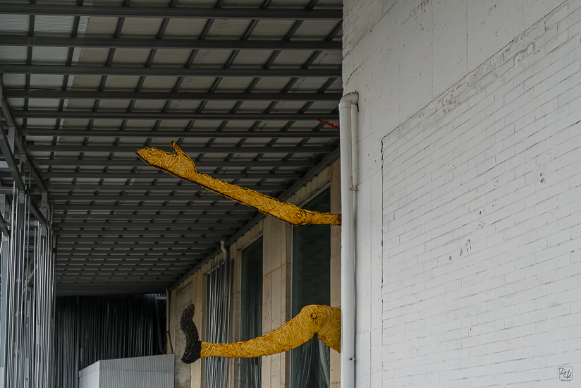 L1026255-향상됨-노이즈 감소-편집-편집.jpg