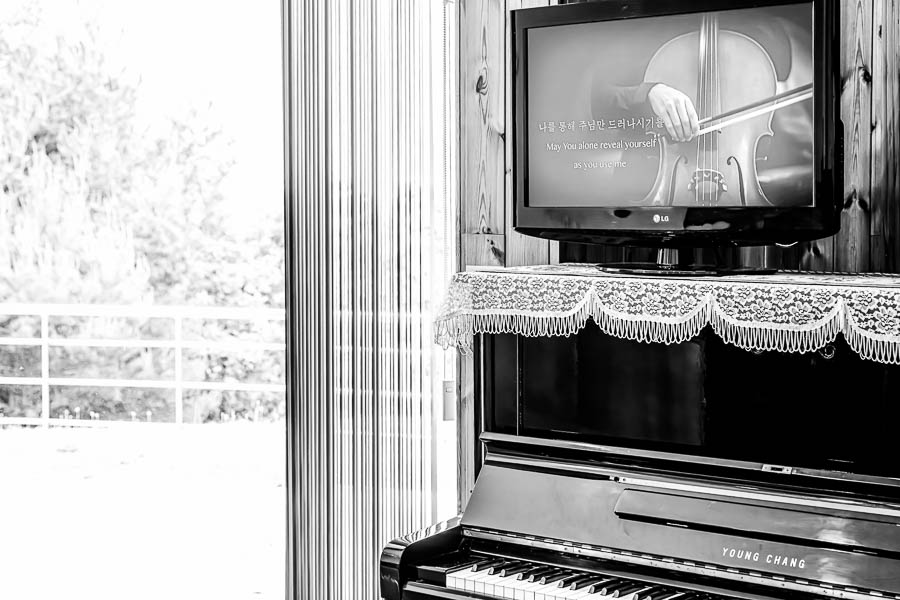 _DSC1993-향상됨-노이즈 감소-편집-편집.jpg