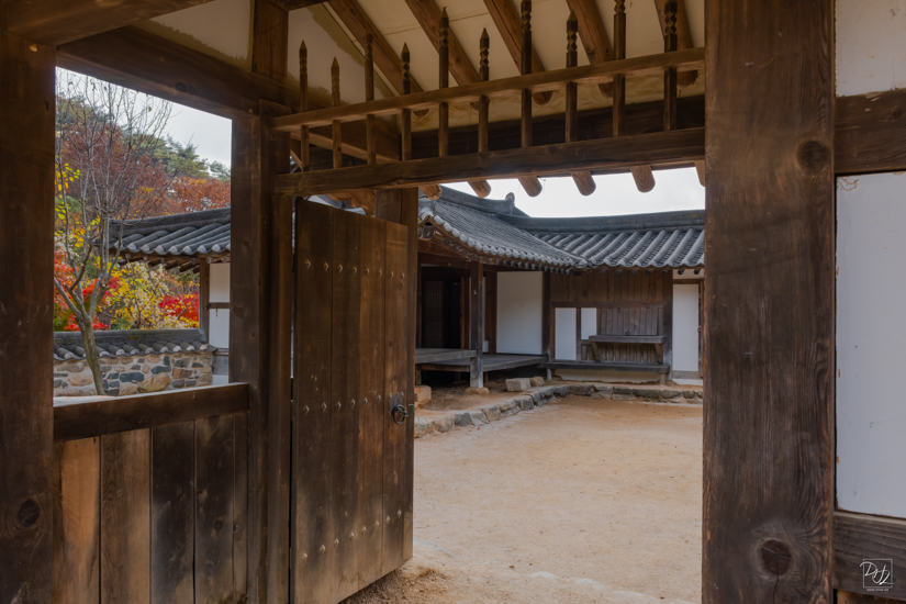 DSCF3007-향상됨-노이즈 감소-편집-2.jpg