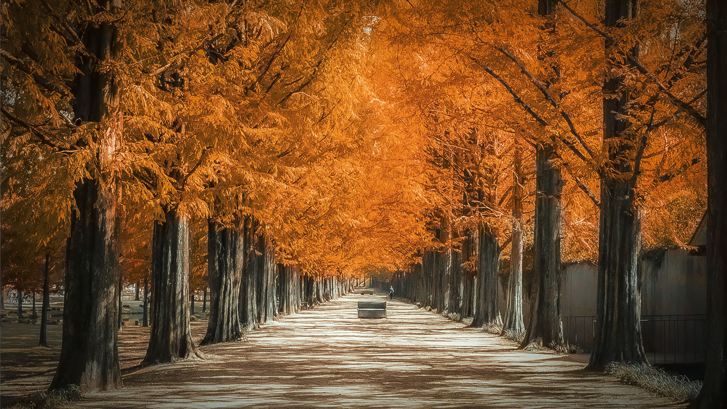 _S2A6929-landscape b.jpg