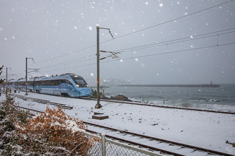 _I6A9237-향상됨-노이즈 감소-편집.jpg