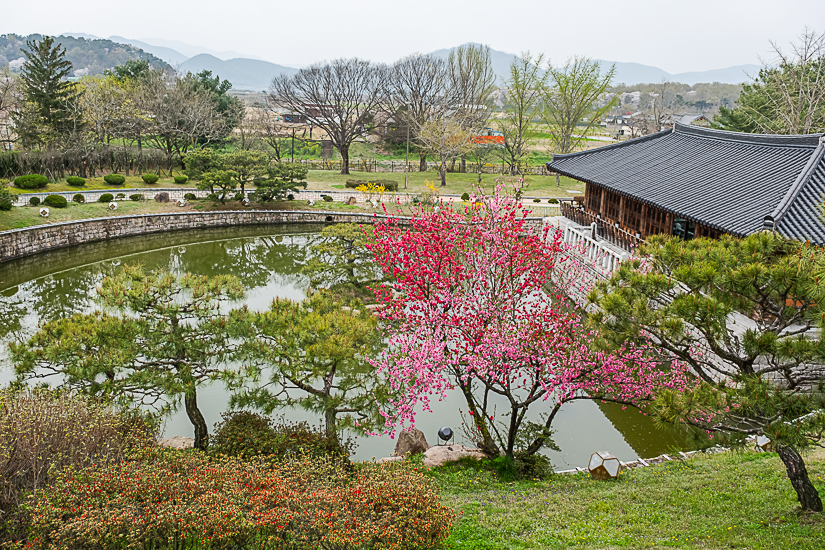 DSCF6724-향상됨-노이즈 감소-편집.jpg