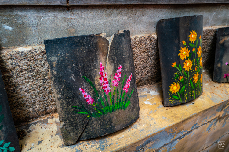 L1023570-향상됨-노이즈 감소-편집.jpg