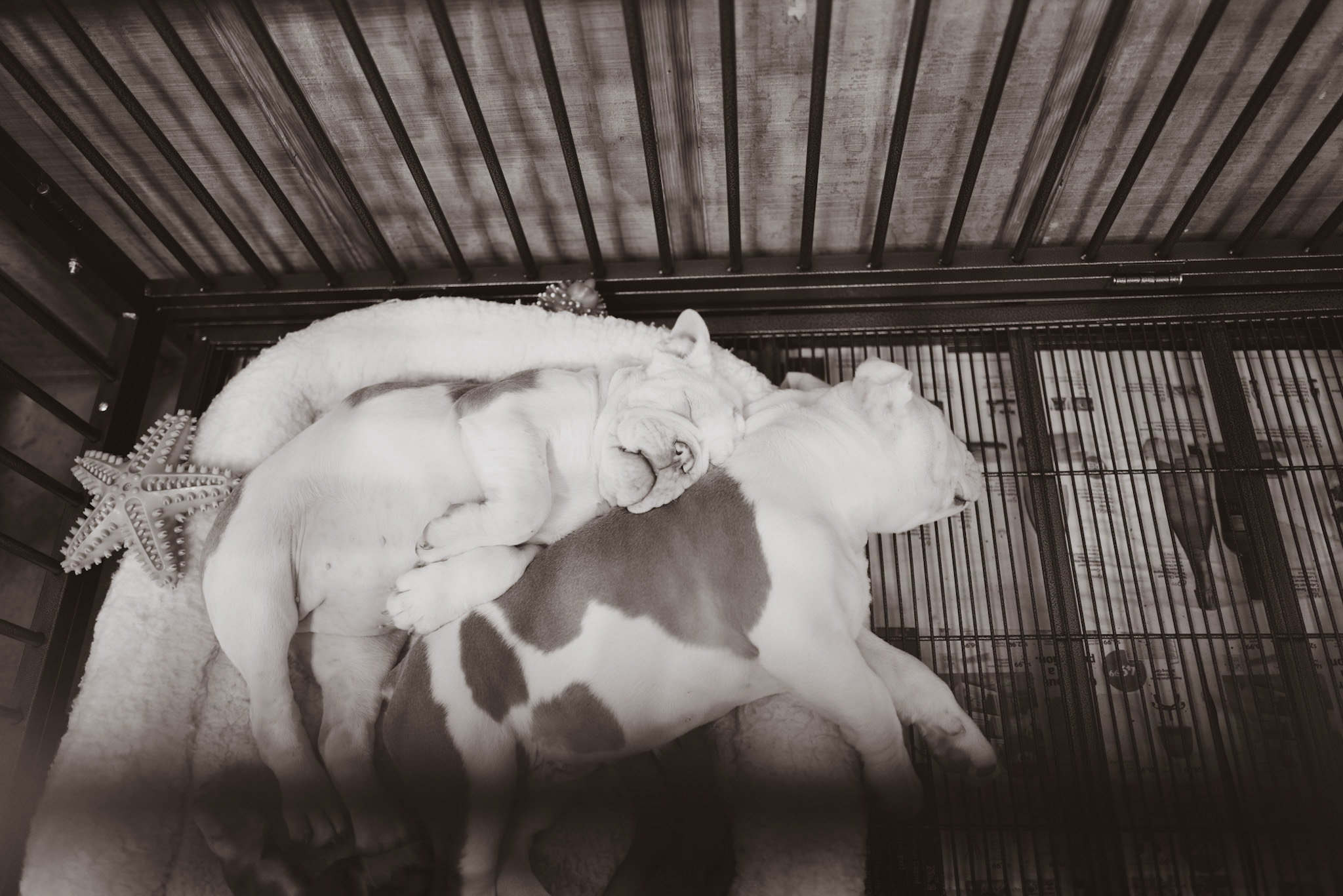 image_6483441 (3).JPG