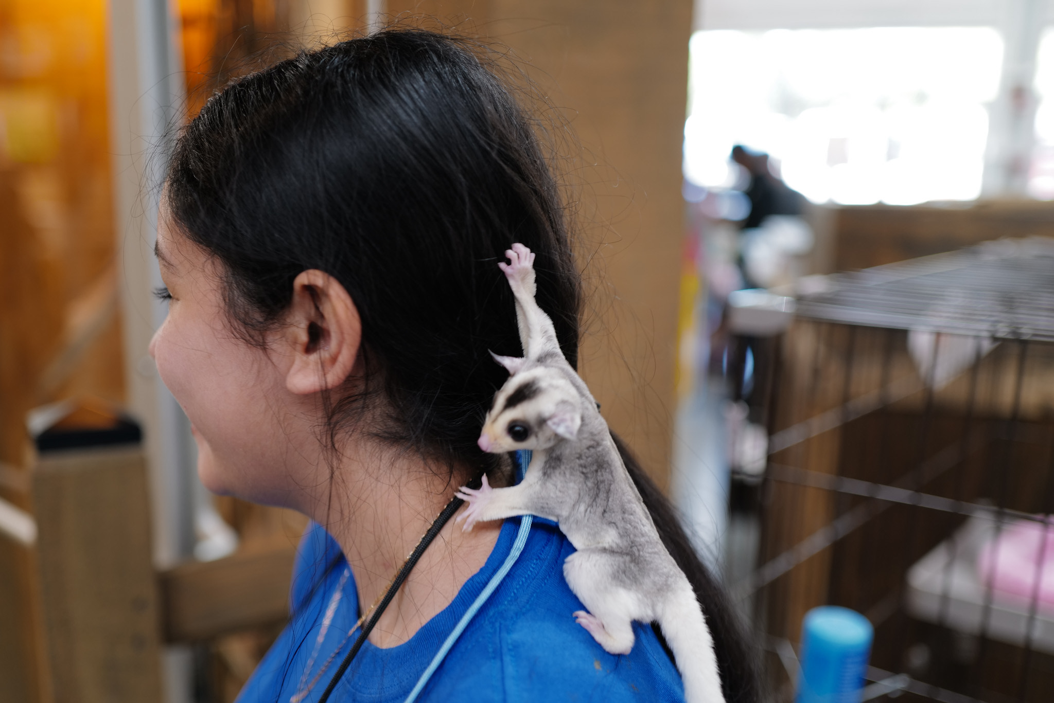 image_6483441 (2).JPG