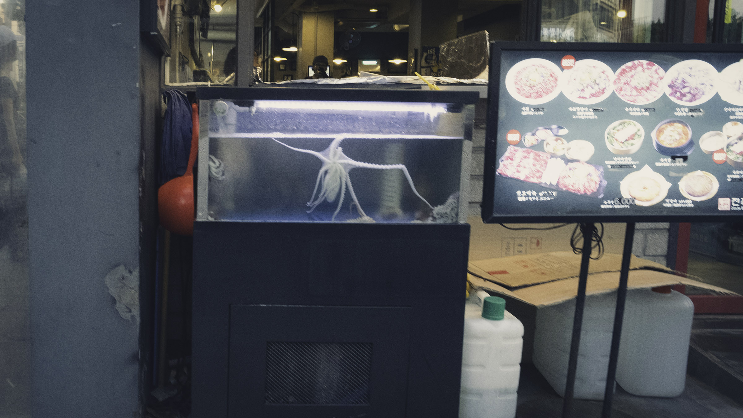 DSCF8761-Edit copy.jpg