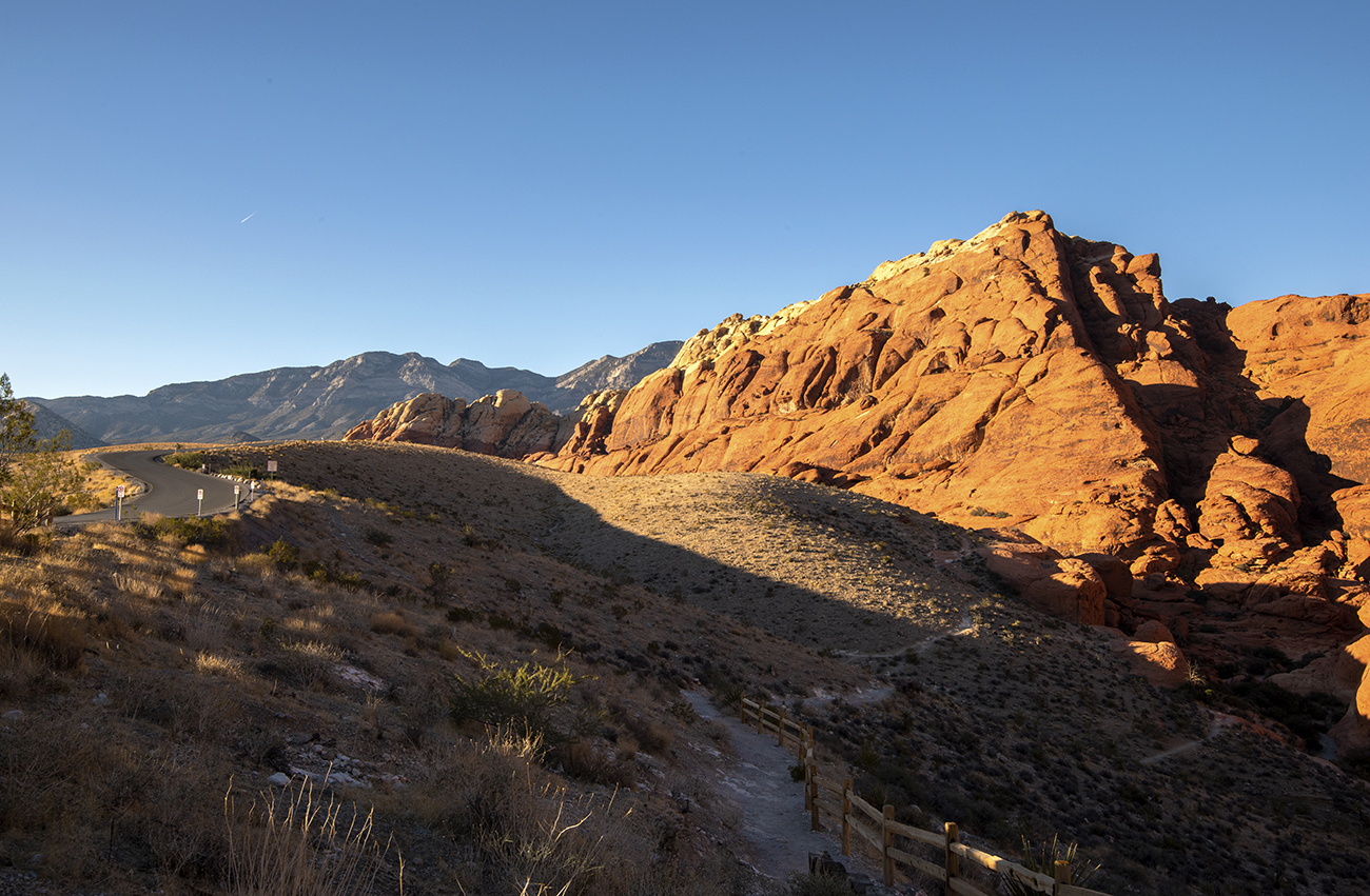 DSC_2435 PS Crop 1300px.jpg