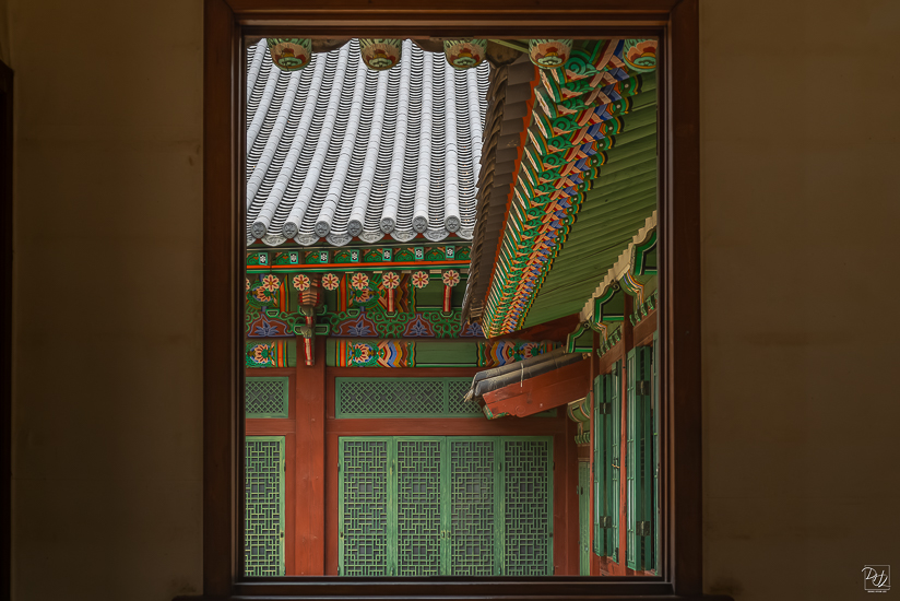 L1026489-향상됨-노이즈 감소-편집.jpg