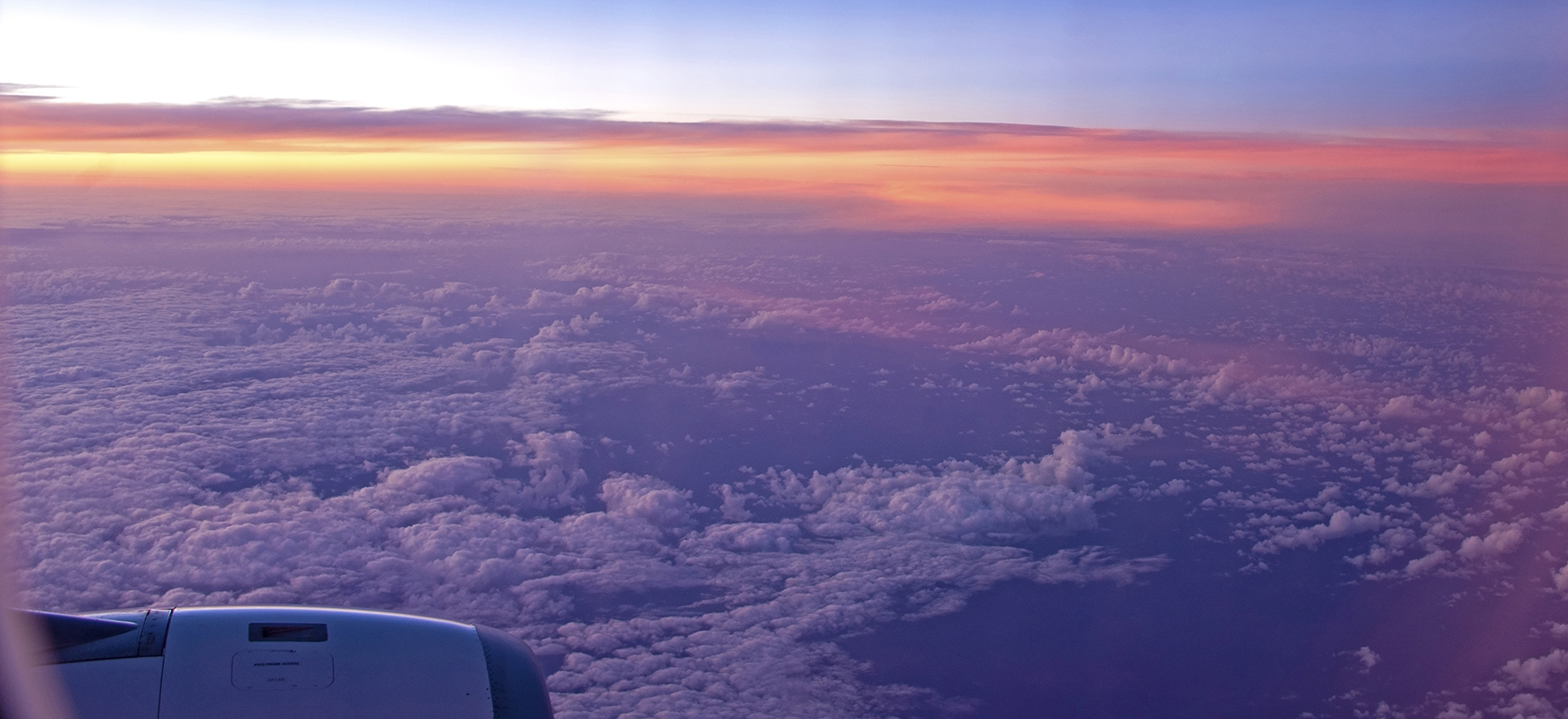 DSC_1942 Def PS Crop2 1800px.jpg