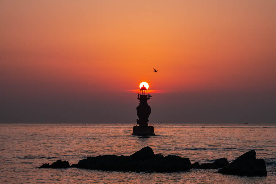 _DSC0587-향상됨-노이즈 감소-편집.jpg