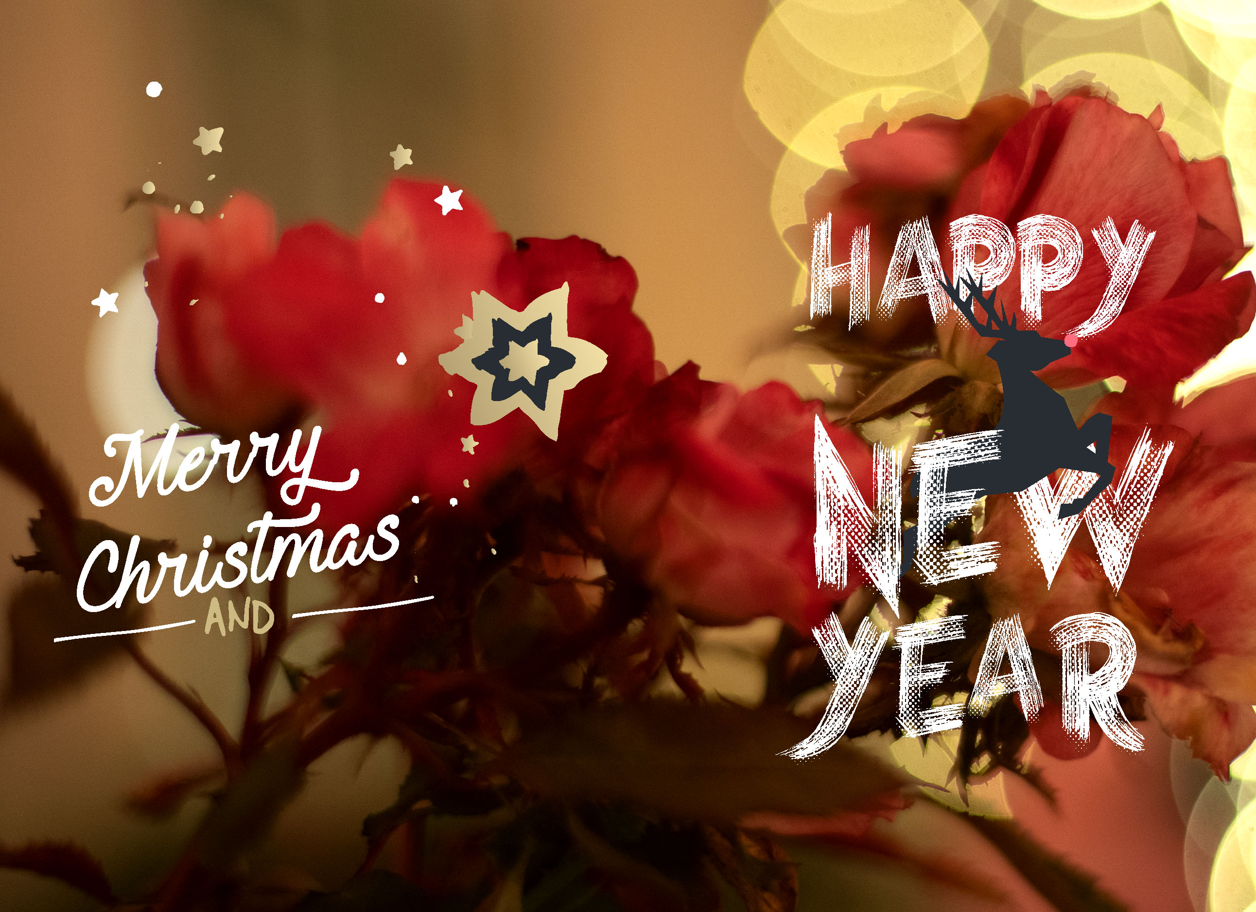 Greeting cards 2017_09cc.jpg