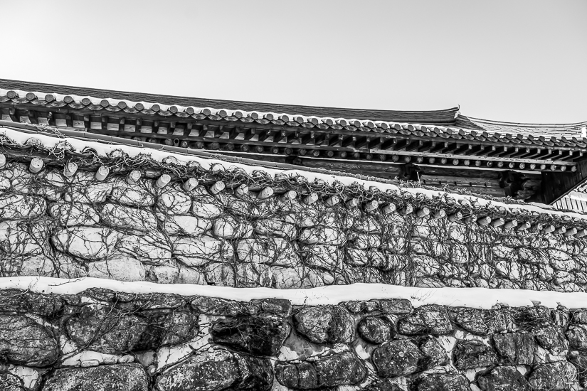 DSCF4444-향상됨-노이즈 감소-편집.jpg