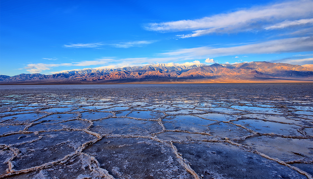 DSC_0538 PS Crop 1200px.jpg