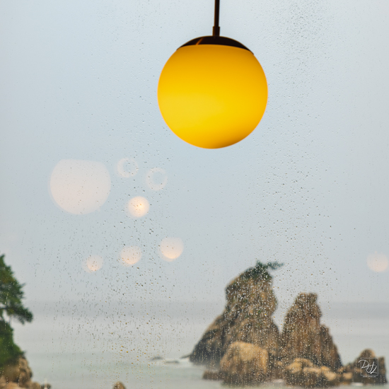 DSCF7993-향상됨-노이즈 감소-편집.jpg